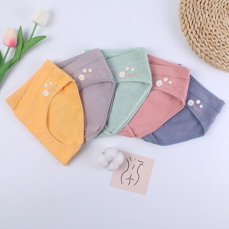 ChicDaisy™ maternity cotton underwear in green — front view